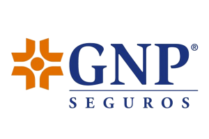 GNP SEGUROS